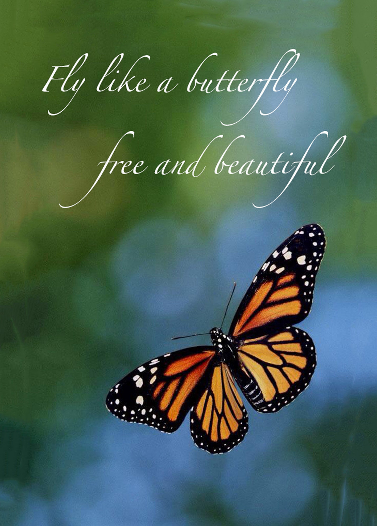 Greeting Note Card Fly Like a Butterfly Etsy Greeting Note Card Fly Like a Butterfly Etsy