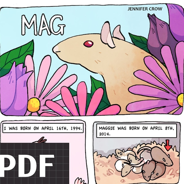 Mag + Mag 2 comic zine bundle DIGITAL PDF / Art zine / Autobiographical comic / Pets / Rats / Short comic story