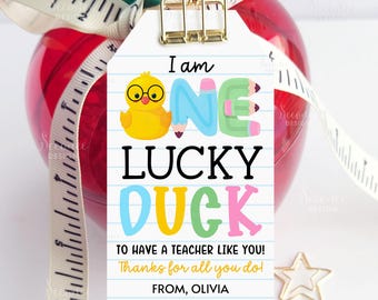 Lucky Duck Teacher Appreciation Week Gift Tags Rubber Duck School Teacher Appreciation Class Tag Treat Bag Labels Printable Instant Download
