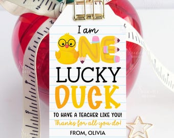 Teacher Appreciation Week Gift Tags, Lucky Duck School Teacher Appreciation Class Tag Treat Bag Labels Printable Template, Instant Download
