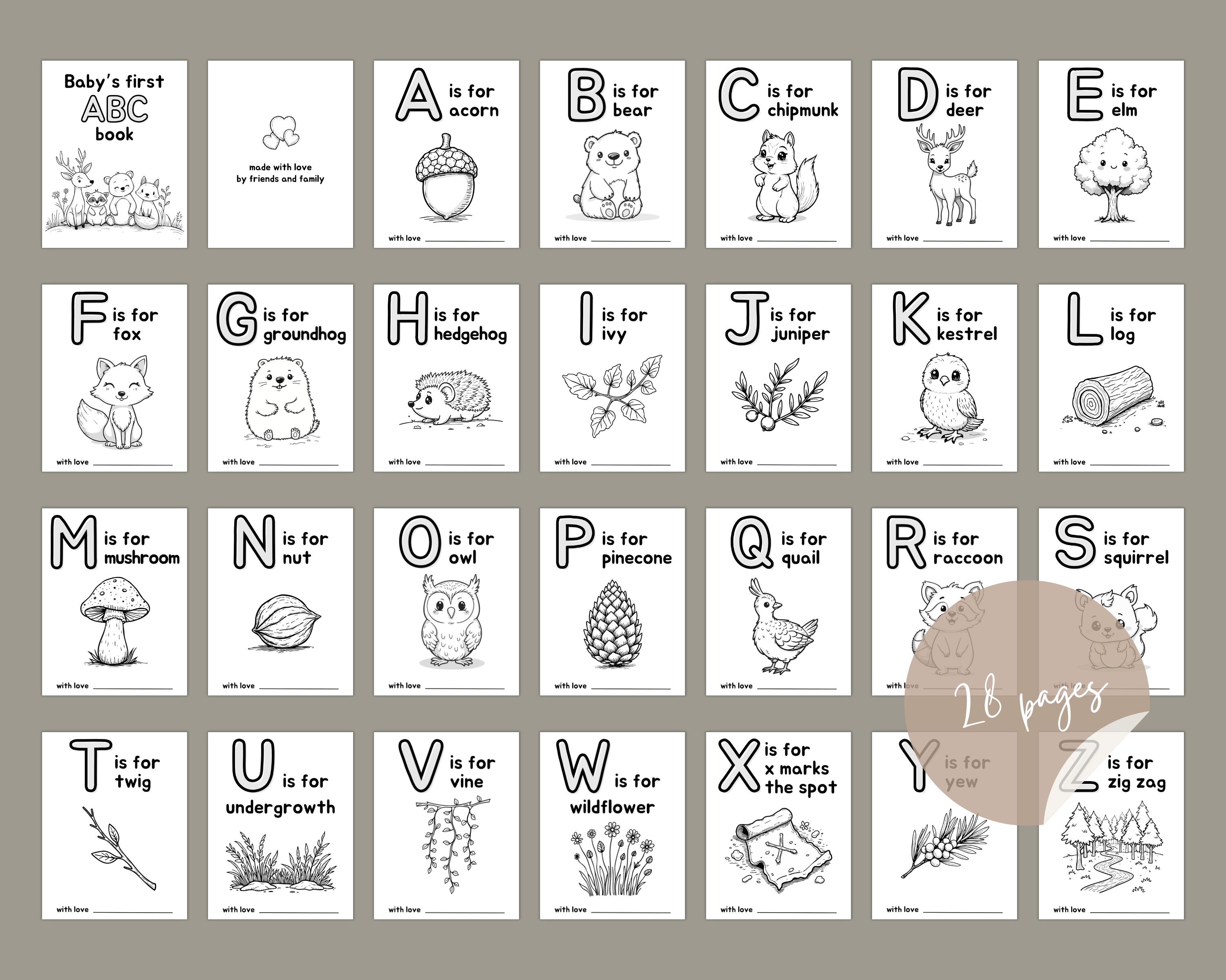 Baby Memory Book Babys First Abc Book Alphabet Animals Woodland Baby ...