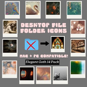 Íconos de carpeta Polaroid góticos / Punk elegante (Mac y PC, paquete de 14)