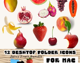 Fruit File Ordner Icons: Mac & PC Schreibtisch Organisation (Digitaler Download)