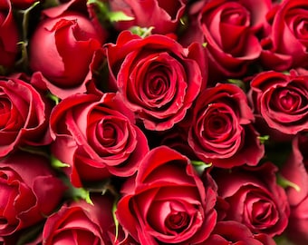 The Royal Results Rose Water 6 mos supply