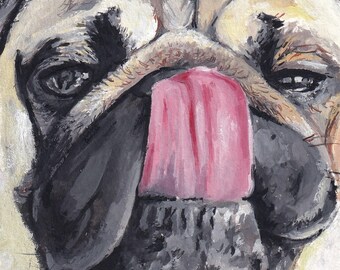 May include: A close-up of a pug's face with its tongue sticking out. The dog's fur is light brown and its nose is black. The dog's eyes are closed and its tongue is pink.