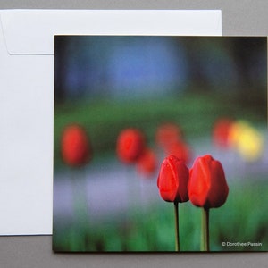 Carte de vœux « Fleur de tulipe », carte pliante carrée (14,8 x 14,8 cm) avec enveloppe, anniversaire, cadeau, fleur