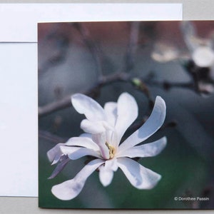 Carte de vœux "Magnolia", carte pliante carrée (14,8 x 14,8 cm) avec enveloppe, anniversaire, cadeau