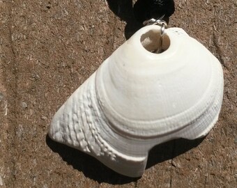 White Shell Pendant Necklace