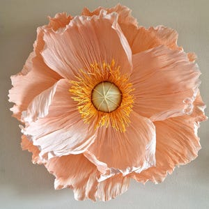 Modello per fiore di carta gigante, modello per fiore di carta, papavero islandese, modello per papavero islandese, lavoretto fai da te con fiori di carta
