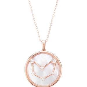 Zodiac parelmoer edelsteen ster sterrenbeeld hanger ketting Steenbok