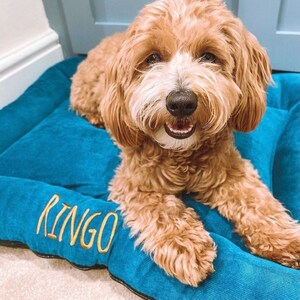 Etsy personalized dog online