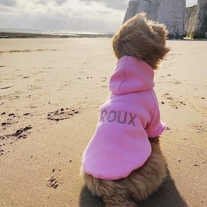 Personalised  Dog Hoodie, Dog Sweatshirt, Dog Lover Gift, Pet Gift, Dog Sweater, Cotton Dog Hoody, Dog clothes, Dog Jumper, Dog Loungewear