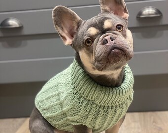 cute small dog sweaters