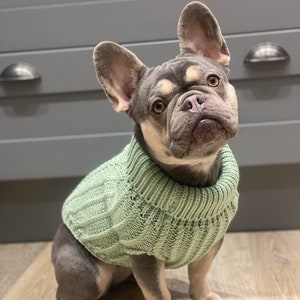 unique dog sweaters