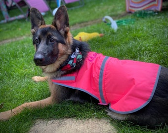 Personalised Hi-Vis Reflective, Waterproof Dog Coat, Dog Gift, Dog Lovers, Pets