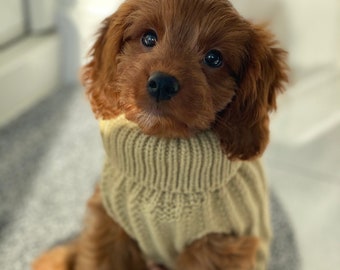 Dog jumper sale Clearance