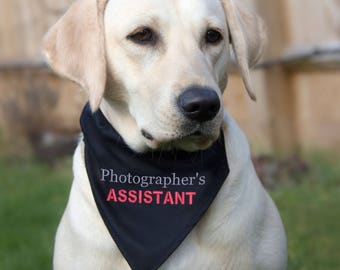 ASSISTANT Dog Bandana Personalized, Personalised Profesion Assistant Dog Bandana Over the Collar Bandana, Red / Navy / Black, Dog's Clothing