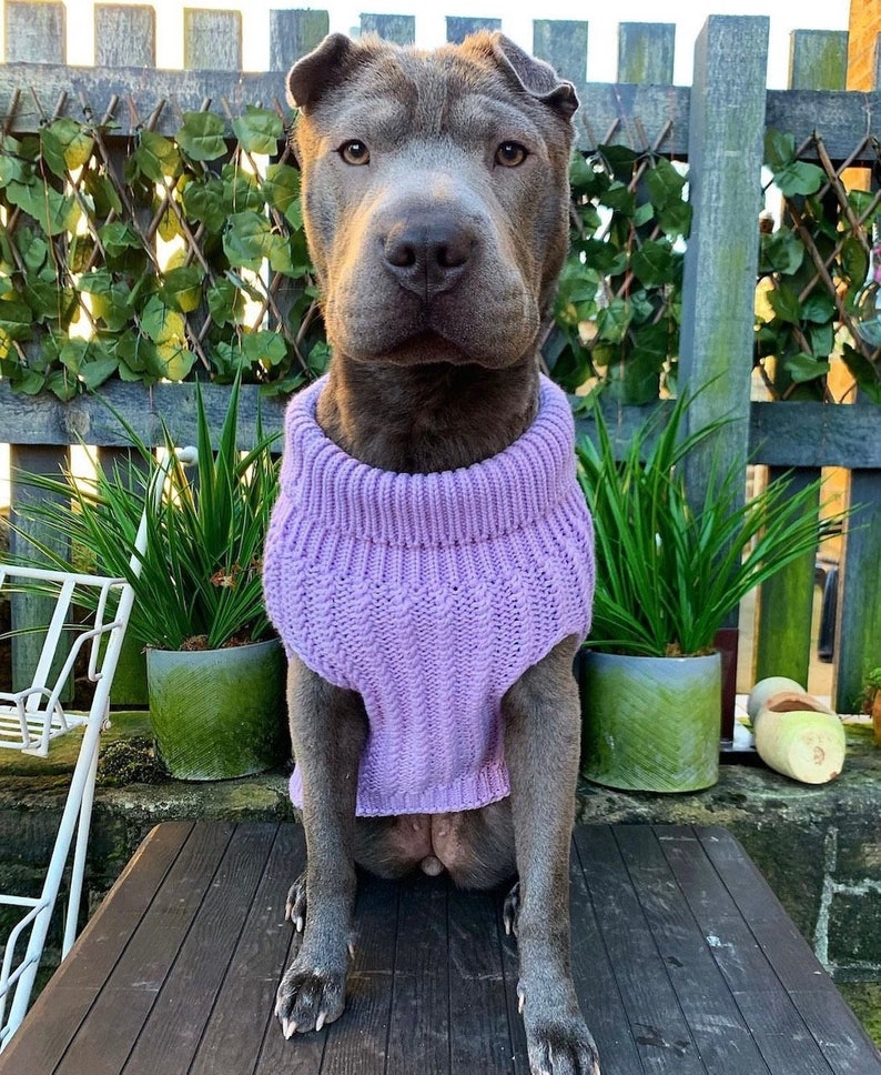 Personalised Dog Jumper Dog Coats Dog Lover Gift Pet Gift Etsy UK