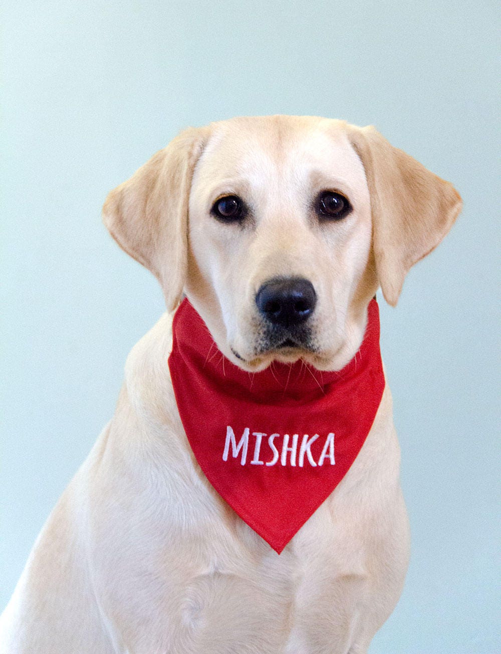 personalised dog scarf