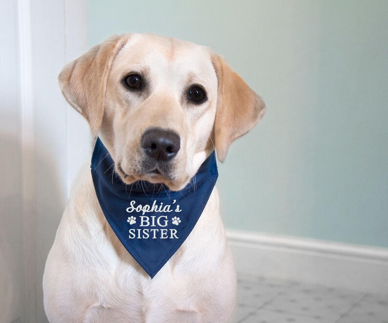 Personalised Dog Bandana Big Sister Dog Clothing Big Brother Etsy