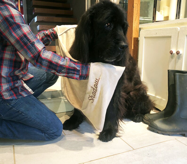 Personalised Microfibre Pet Glove Towel Dog Towel Dog Gift Etsy