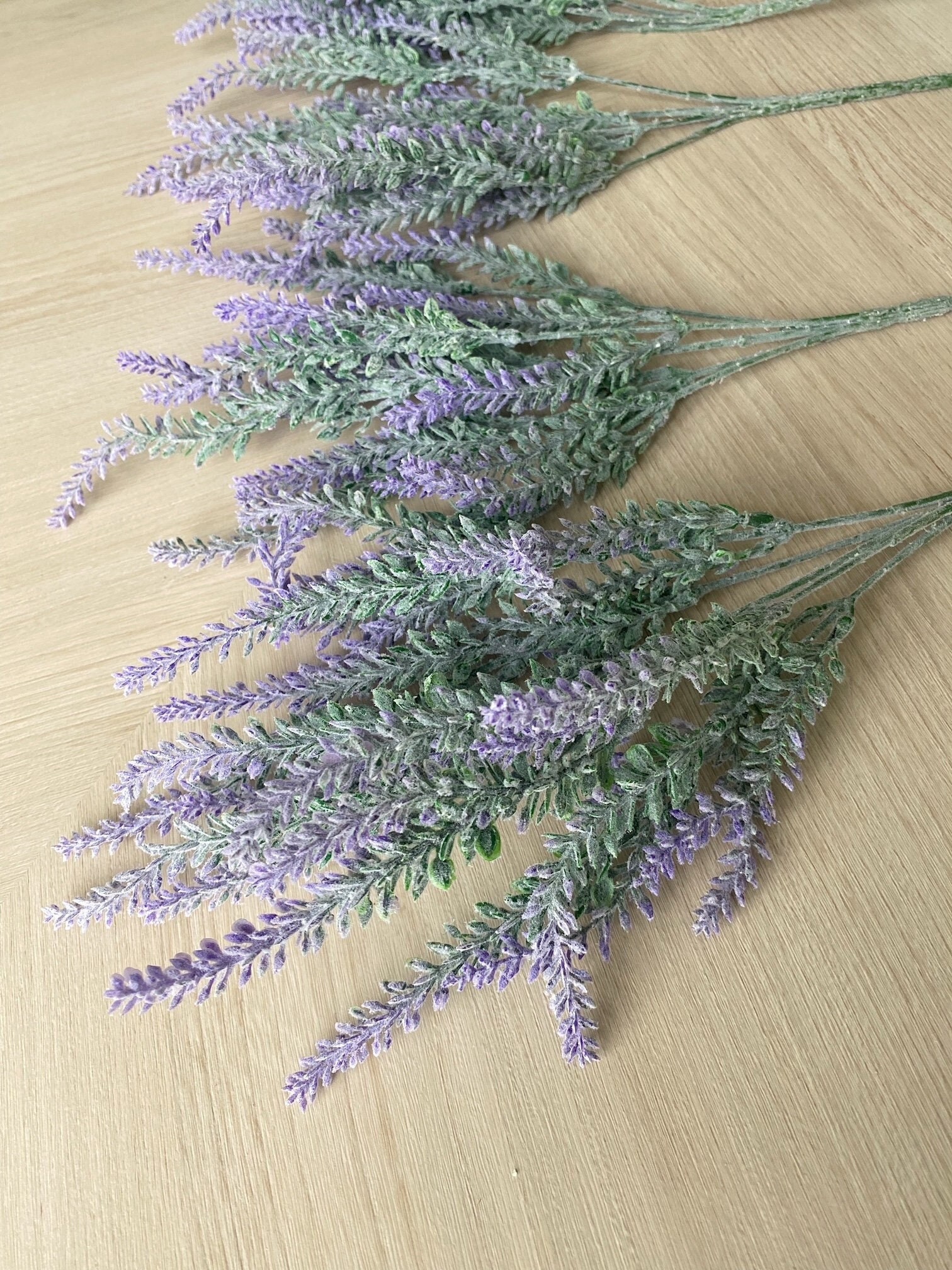 50 Dried Natural LAVENDER Stems French Provence Bunch Fragrant Tied  Original Scent Free UK Delivery 