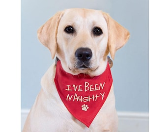 Dog Bandana, Dog Over the Collar Bandana, I've Been Naughty, Dog Clothing, Naughty Dog Bandana, Red / Navy / Black, Dog's Clothing