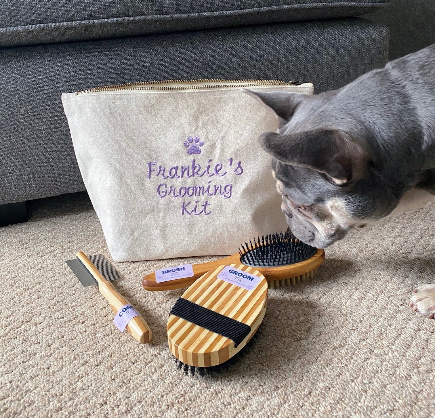 dog grooming storage