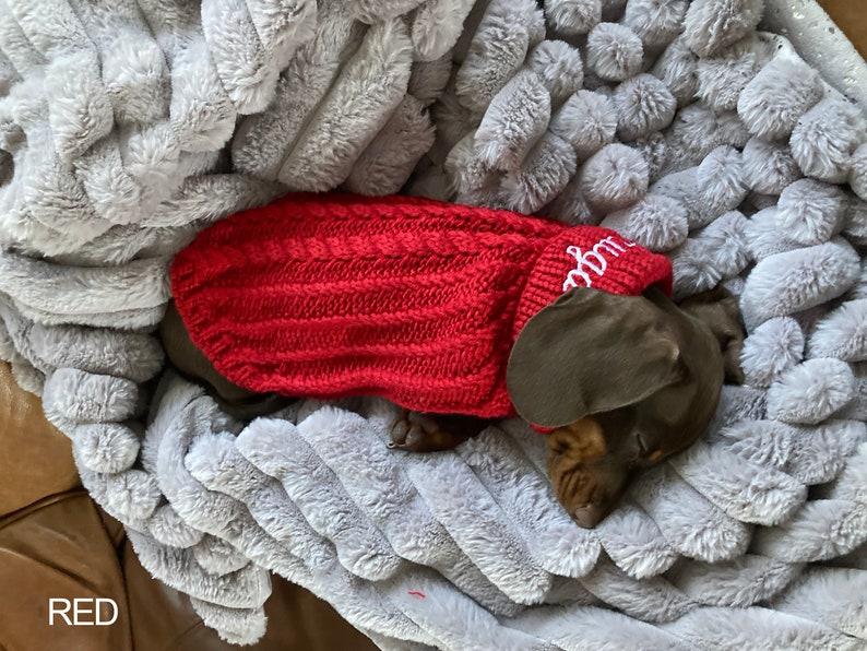 Personalised Dog Jumper Dog Coats Dog Lover Gift Pet Gift Etsy UK