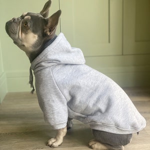 Personalisierter Hund Hoodie, Hund Sweatshirt, Hunde-Liebhaber-Geschenk, Haustier Geschenk, Hundepullover, Baumwolle Hunde Kapuzenpullover, Hundekleidung, Hundepullover, Hunde Loungewear Bild 3