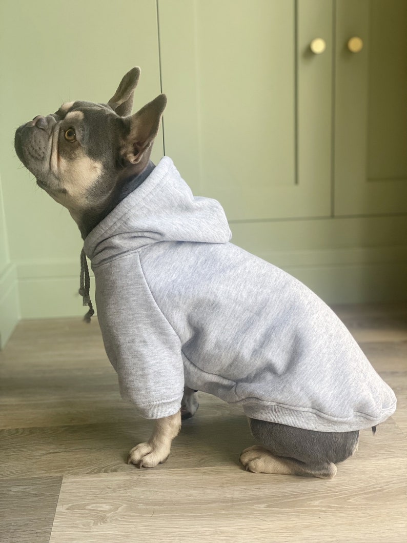 Personalised Dog Hoodie, Dog Sweatshirt, Dog Lover Gift, Pet Gift, Dog Sweater, Cotton Dog Hoody, Dog clothes, Dog Jumper, Dog Loungewear image 3