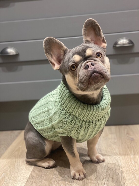 personalised dog jumper