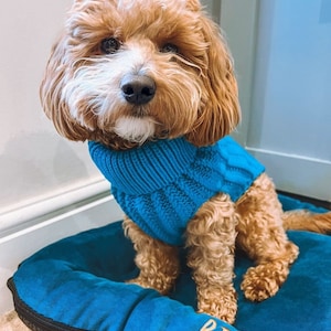 Personalised Dog Jumper Dog Coats Dog Lover Gift Pet Gift - Etsy