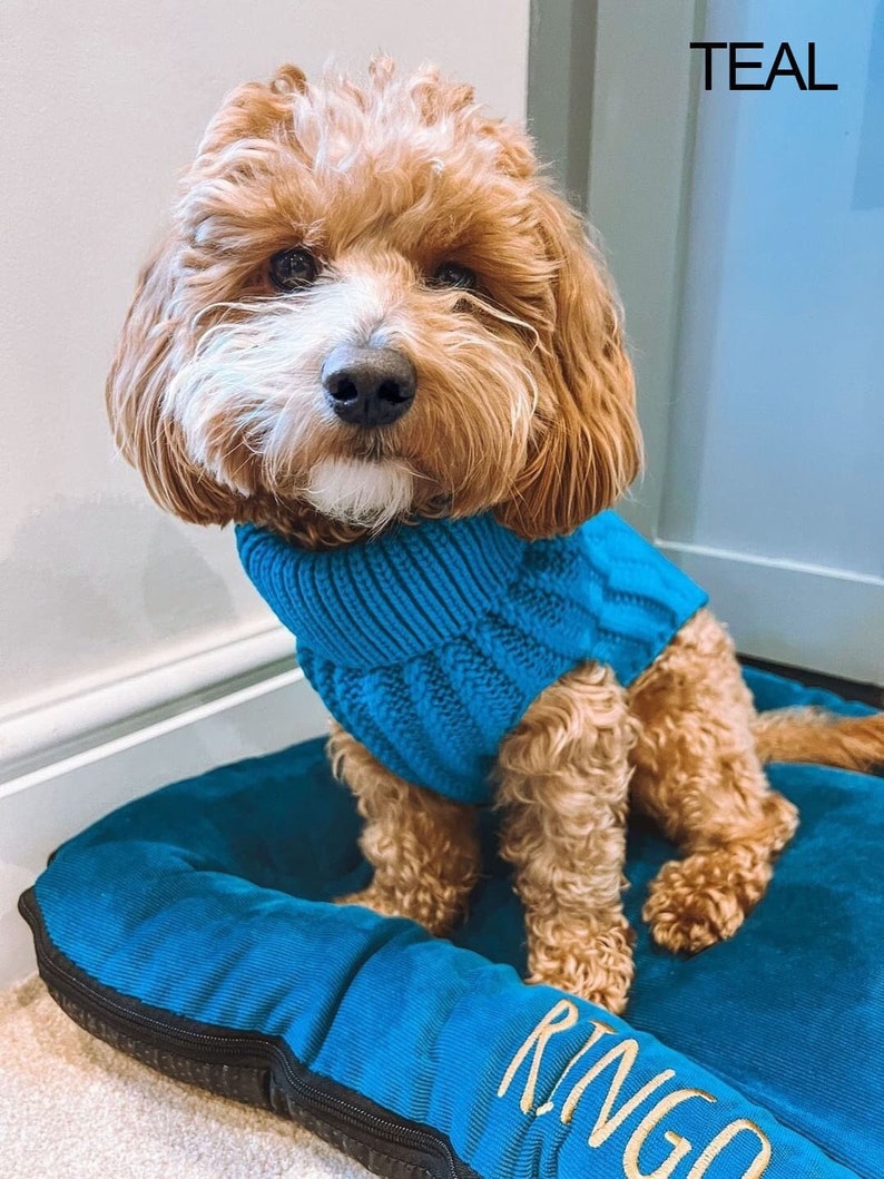 Personalised Dog Jumper Dog Coats Dog Lover Gift Pet Gift Etsy