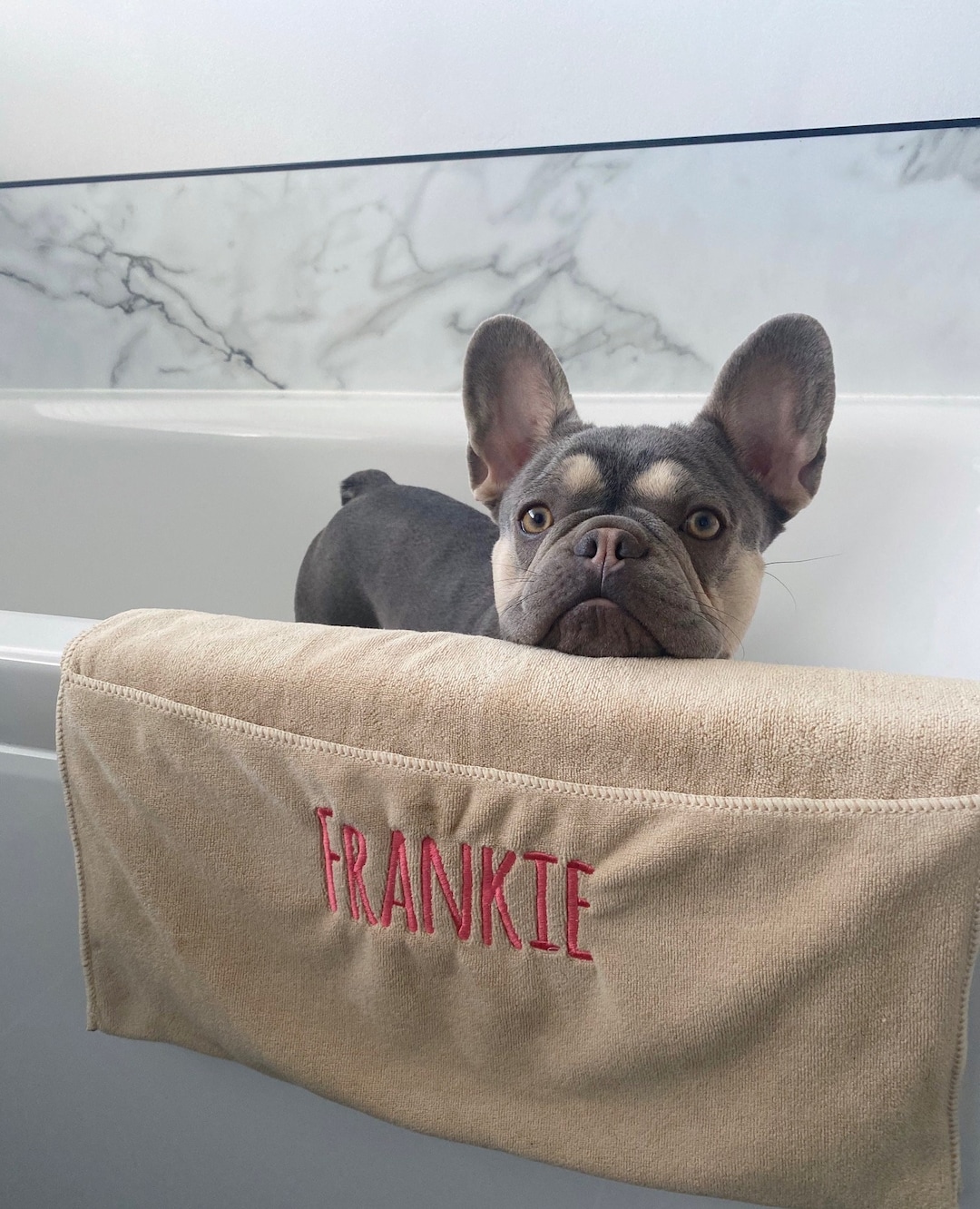 Dog glove towel hotsell