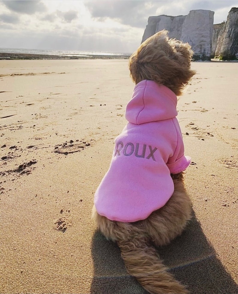 Personalised Dog Hoodie, Dog Sweatshirt, Dog Lover Gift, Pet Gift, Dog Sweater, Cotton Dog Hoody, Dog clothes, Dog Jumper, Dog Loungewear image 1