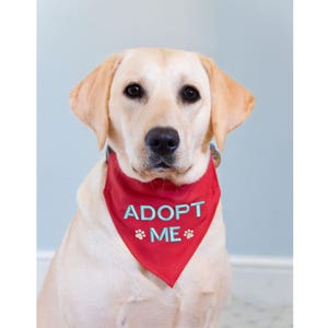Adopt top me harness