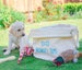 Personalised Dog Toy Basket, Dog Toys Storage Bag, Dog Toy Bin, Dog Toys Organizer, Dog Grooming Bag, Pet Storage, Gift for Dog Lovers 