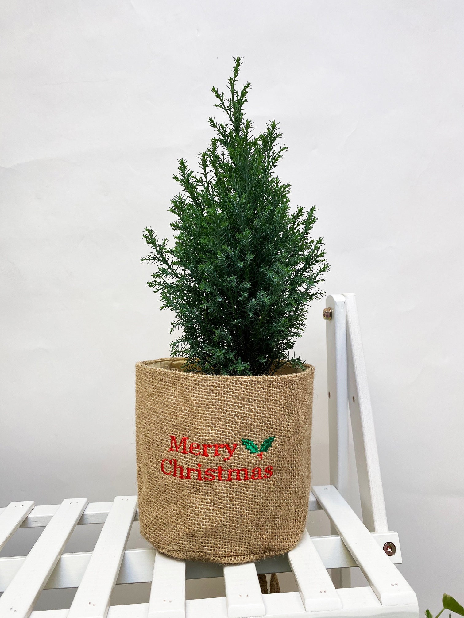 Hessian Plant Pot Cover Hessian Planter Personalised Plant Etsy UK