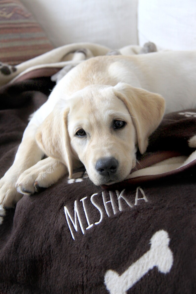 Personalized Dog Blanket Dog Gift Dog Lovers Pets Etsy UK