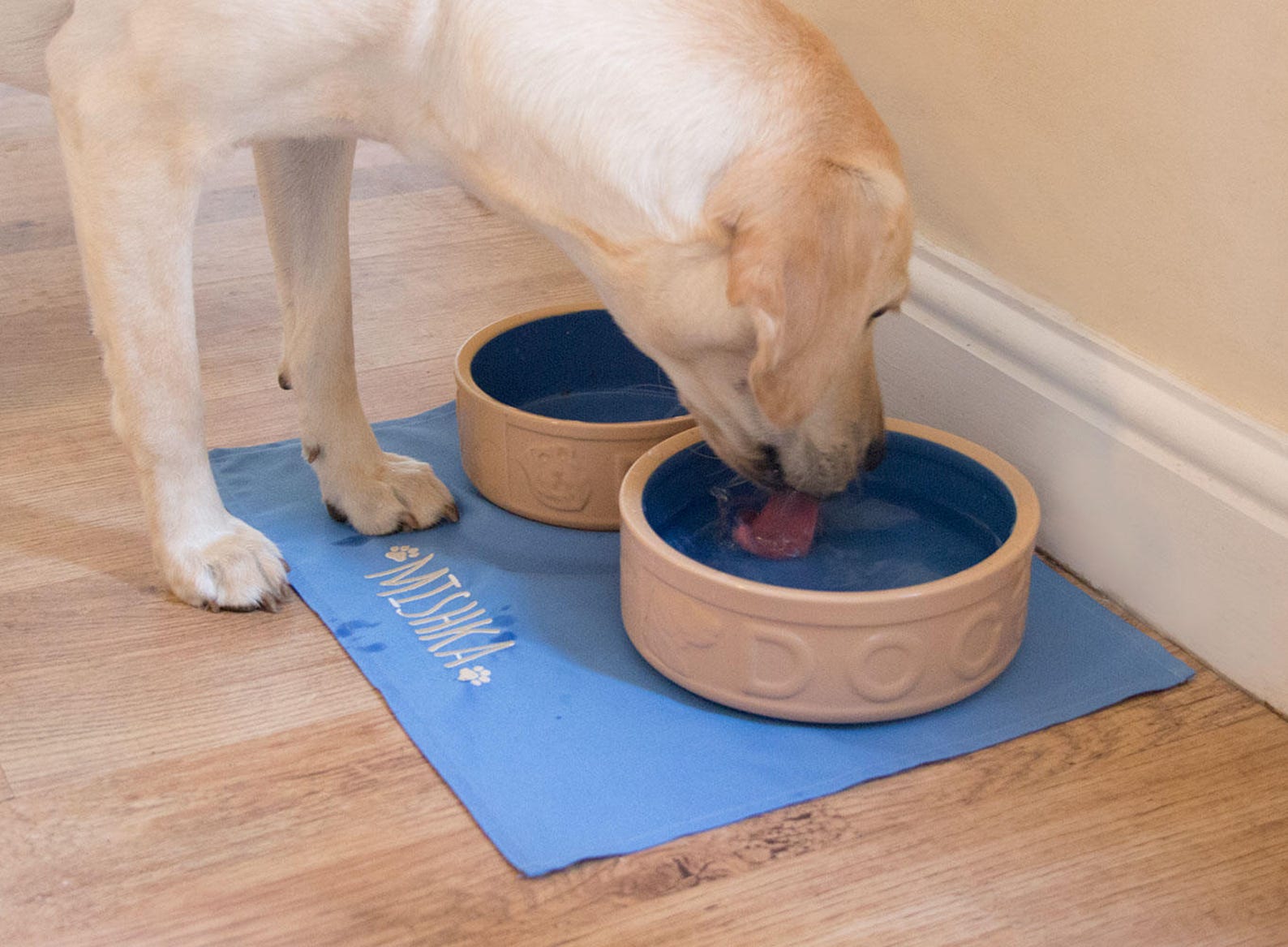 Personalised Dog Feeding Mat With EMBROIDERED Name Dog Etsy UK