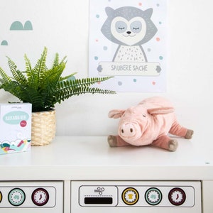 May include: A white dresser with two drawers, each with a different design. The top drawer has a design of a wind symbol and three circles with different clothing items inside. The bottom drawer has a design of three circles with different clothing items inside. A pink pig plush toy is sitting on the dresser. A green fern plant is in a wicker basket on the dresser. A white box with a blue and green design is on the dresser. A poster with a gray raccoon with the text "SAUBERE SACHE" is on the wall behind the dresser.