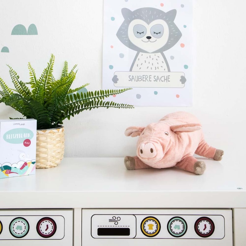 May include: A white dresser with two drawers, each with a different design. The top drawer has a design of a wind symbol and three circles with different clothing items inside. The bottom drawer has a design of three circles with different clothing items inside. A pink pig plush toy is sitting on the dresser. A green fern plant is in a wicker basket on the dresser. A white box with a blue and green design is on the dresser. A poster with a gray raccoon with the text "SAUBERE SACHE" is on the wall behind the dresser.