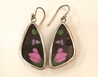 PURPLE SWALLOWTAIL Butterfly Wing Earrings// Butterfly Wing Jewelry// AUTHENTIC Butterfly Wings// Eco Friendly Jewelry// Statement Jewelry