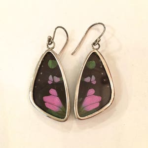 PURPLE SWALLOWTAIL Butterfly Wing Earrings// Butterfly Wing Jewelry// AUTHENTIC Butterfly Wings// Eco Friendly Jewelry// Statement Jewelry