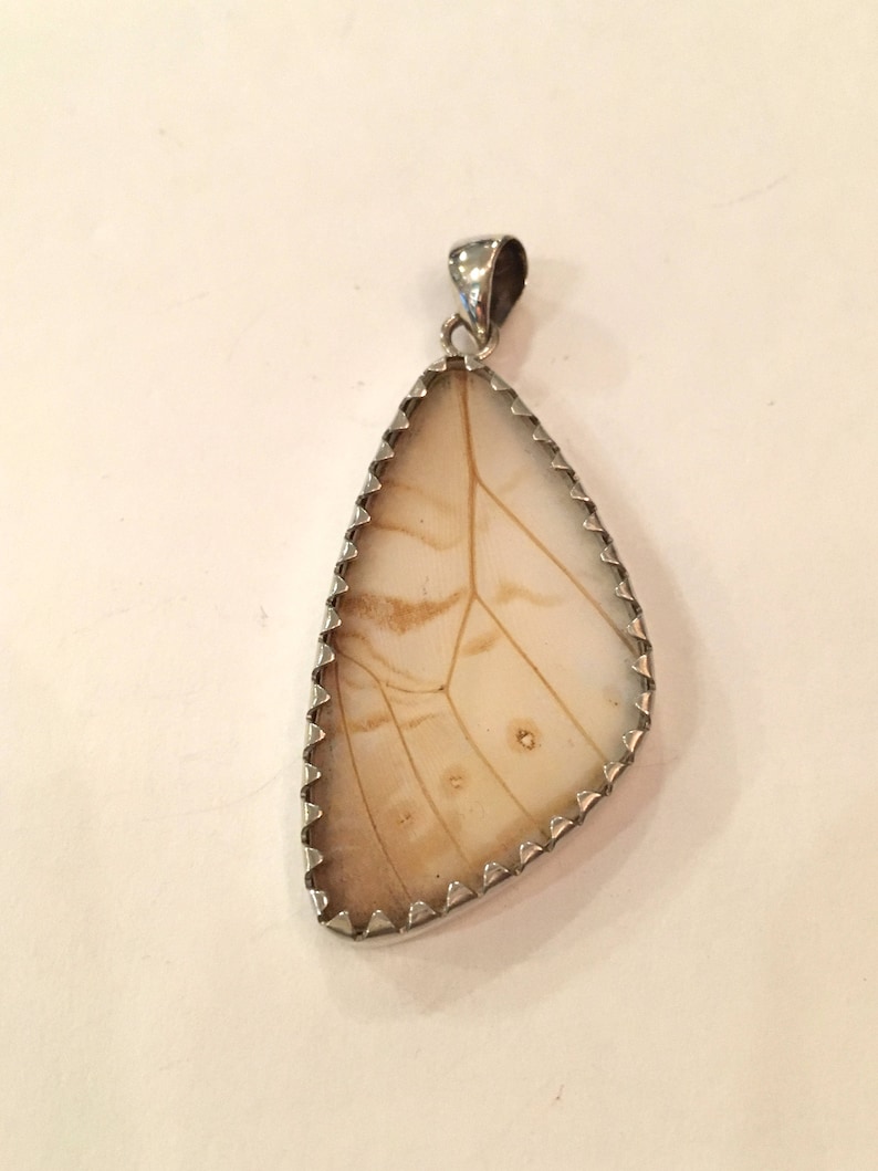 BLUE MORPHO Butterfly Wing Pendant Butterfly Wing Jewelry AUTHENTIC Butterfly Wings Eco Friendly Jewelry Statement Jewelry