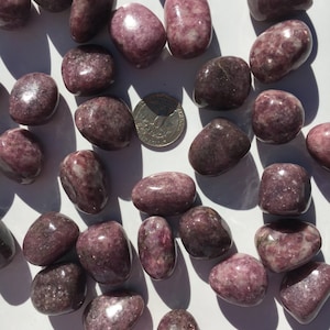 Beautiful Tumbled LEPIDOLITE Healing Gemstone// Tumbled Stones// Polished Purple Lepidolite// Healing Crystals// Healing Tools// All Chakras