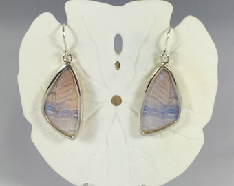BLUE MORPHO Butterfly Wing Earrings// Butterfly Wing Jewelry// AUTHENTIC Butterfly Wings// Eco Friendly Jewelry// Statement Jewelry