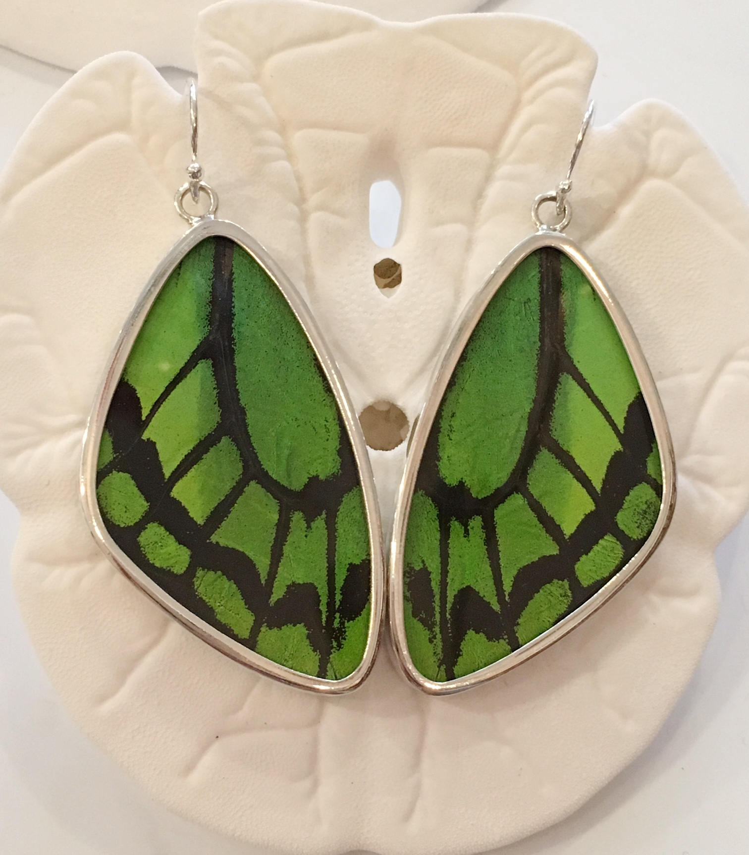 LIME WING Butterfly Wing Earrings// Butterfly Wing Jewelry// AUTHENTIC