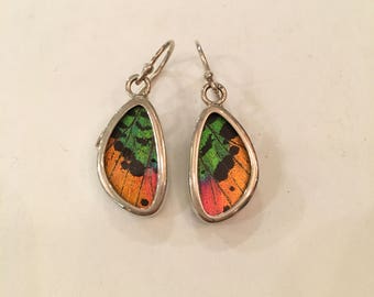 SUNSET MOTH Butterfly Wing Earrings// Butterfly Wing Jewelry// AUTHENTIC Butterfly Wings// Eco Friendly Jewelry// Statement Jewelry
